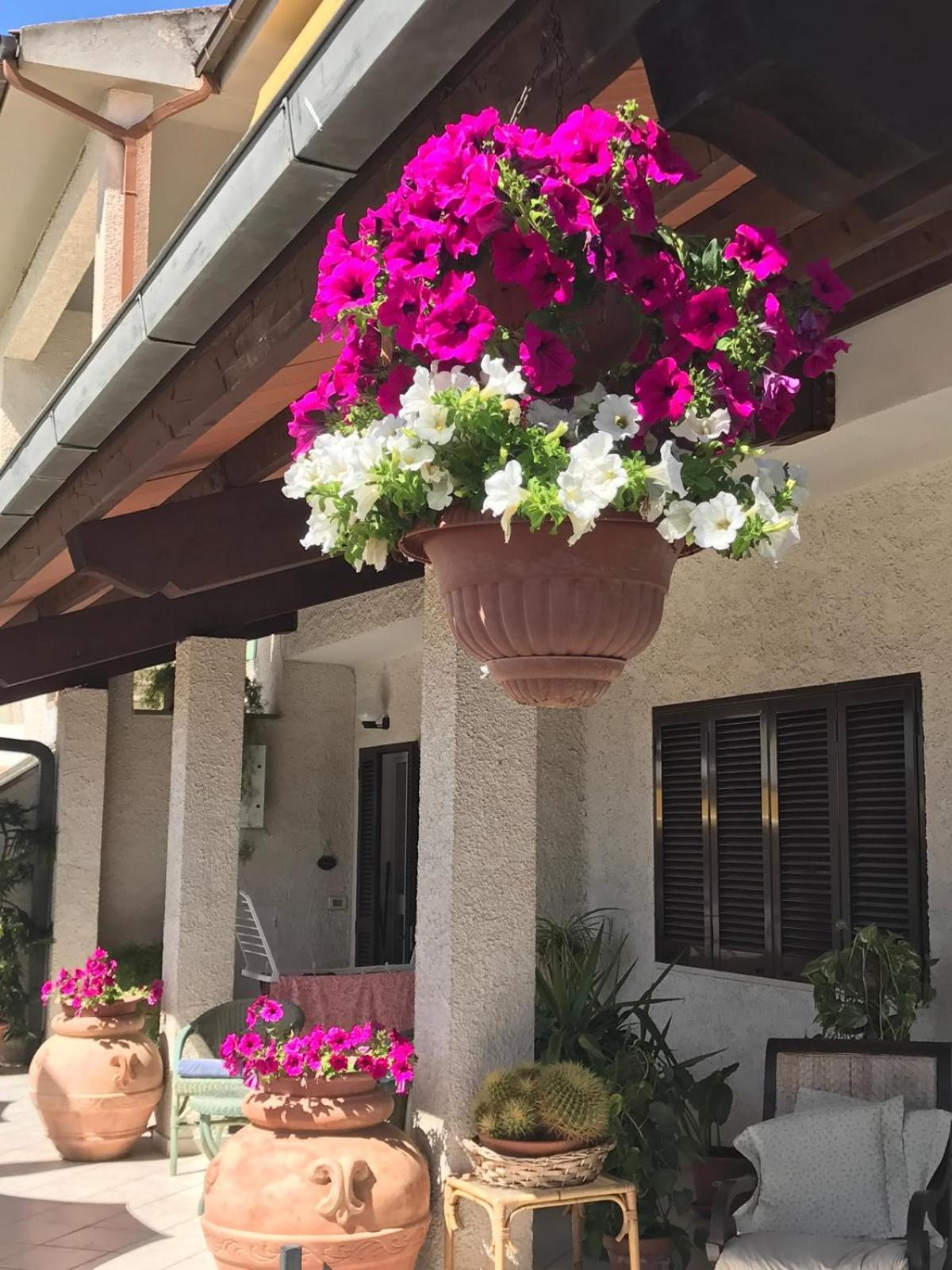Hotel B&B Rispescia Grosseto Exterior photo