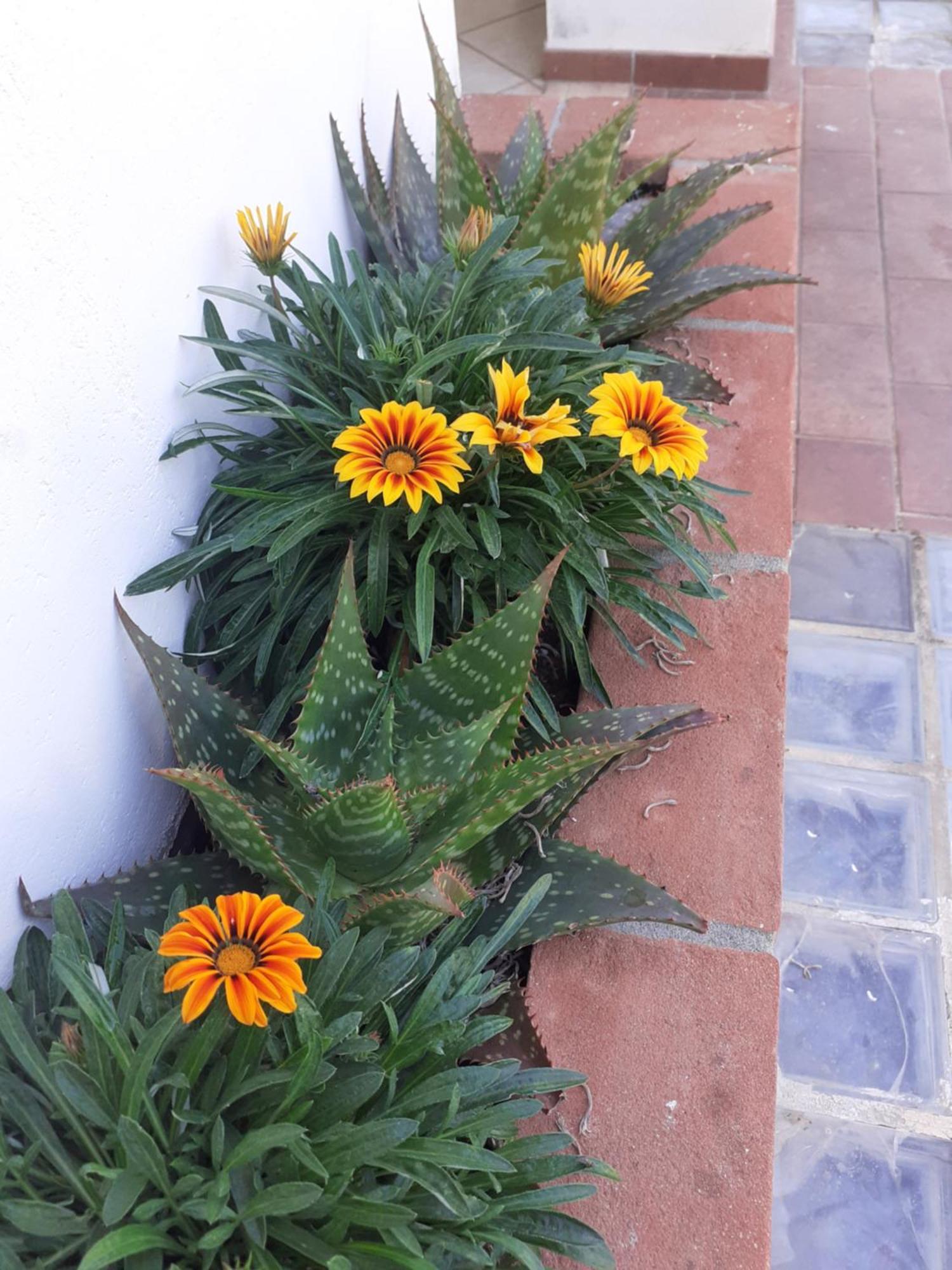 Hotel B&B Rispescia Grosseto Exterior photo
