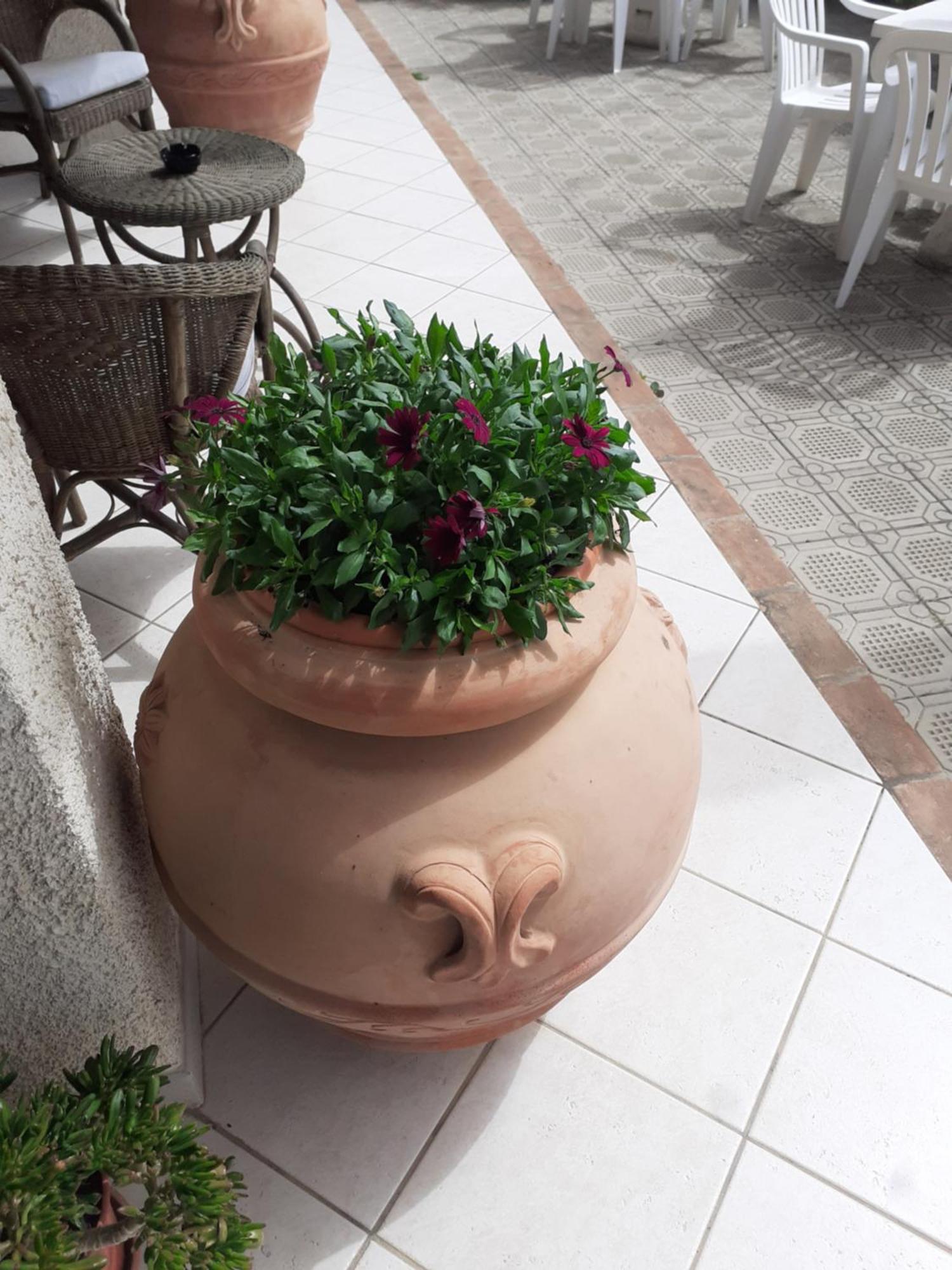Hotel B&B Rispescia Grosseto Exterior photo